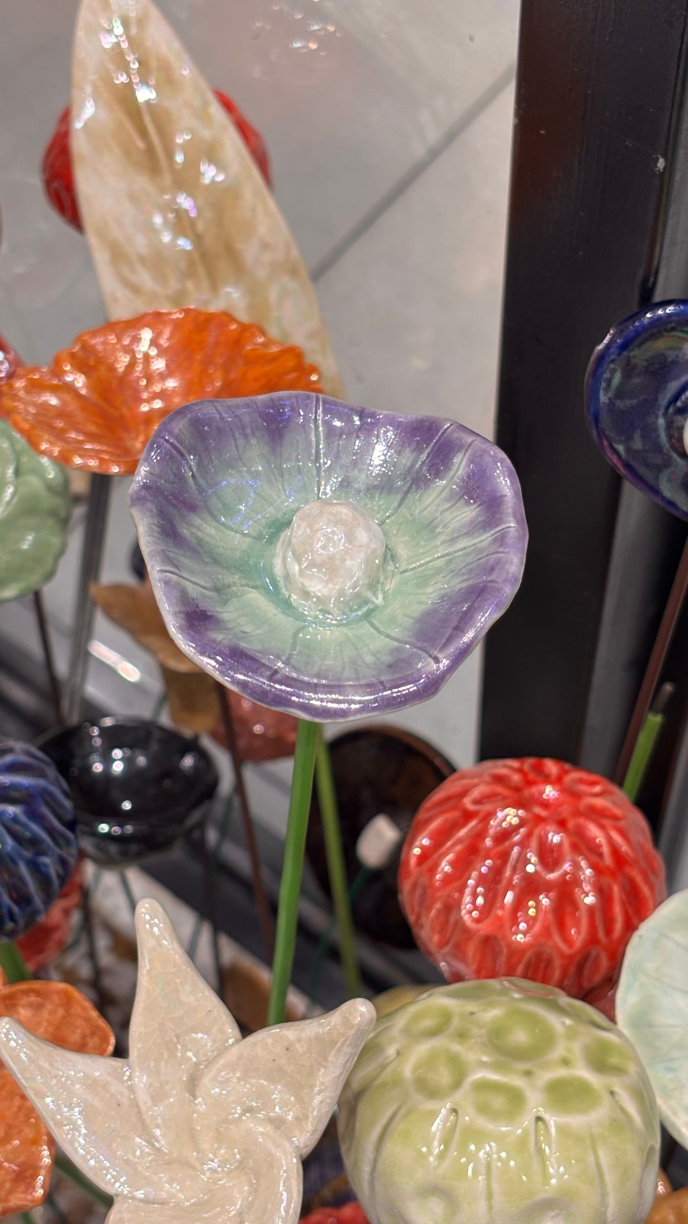 Sunburst Bloom - 3