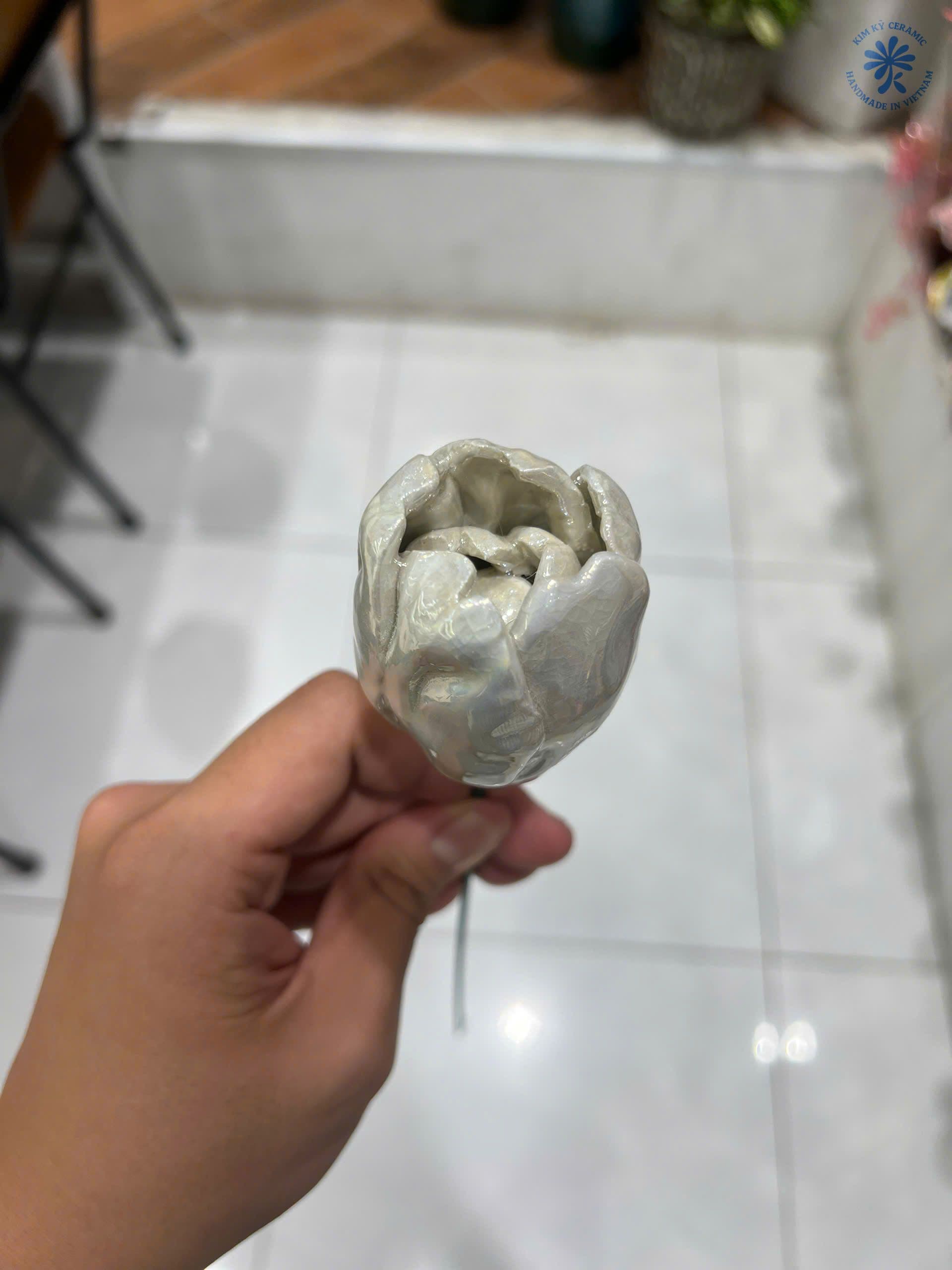 Búp Hoa Tulip trắng ngọc trai - 1