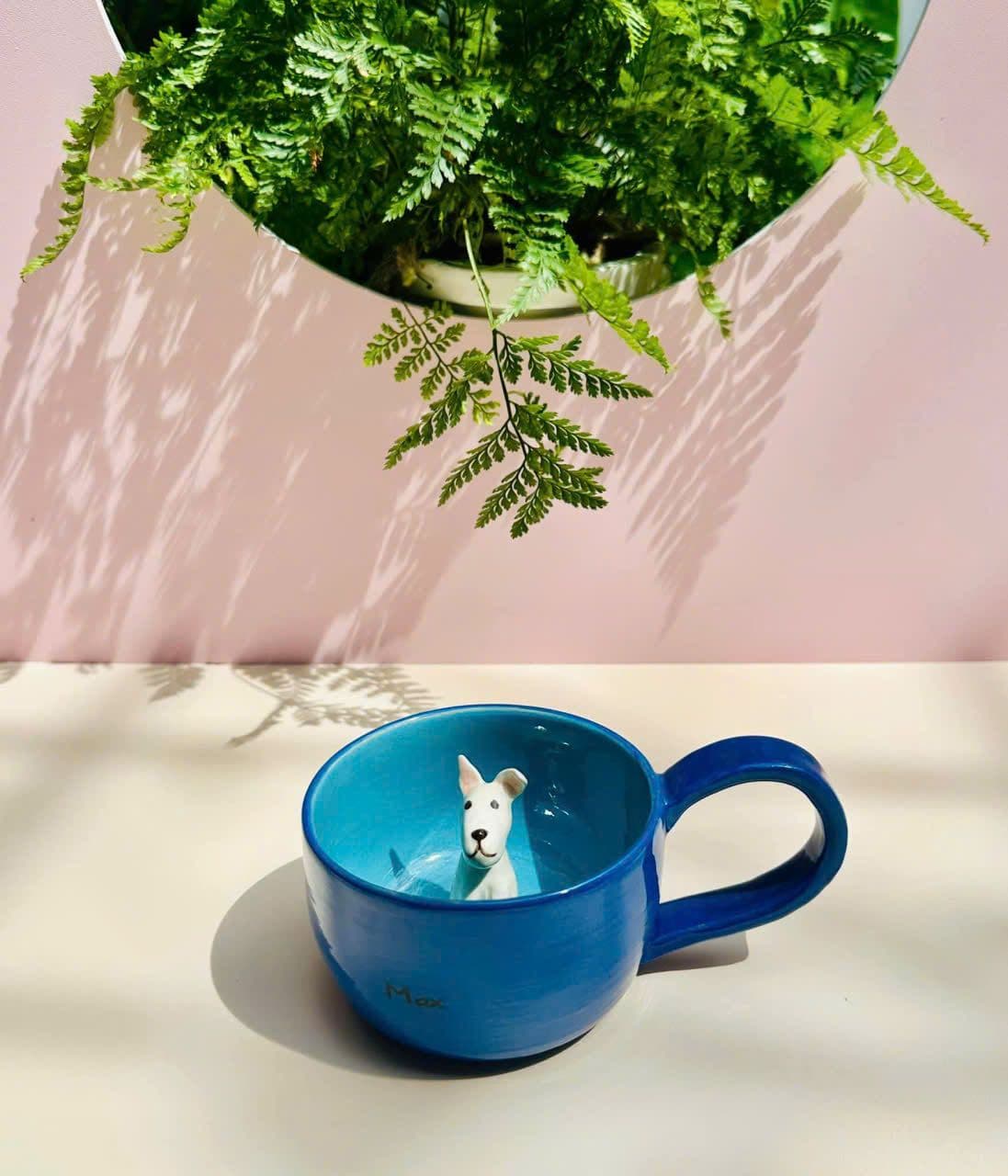 Hình ảnh bộ sưu tập