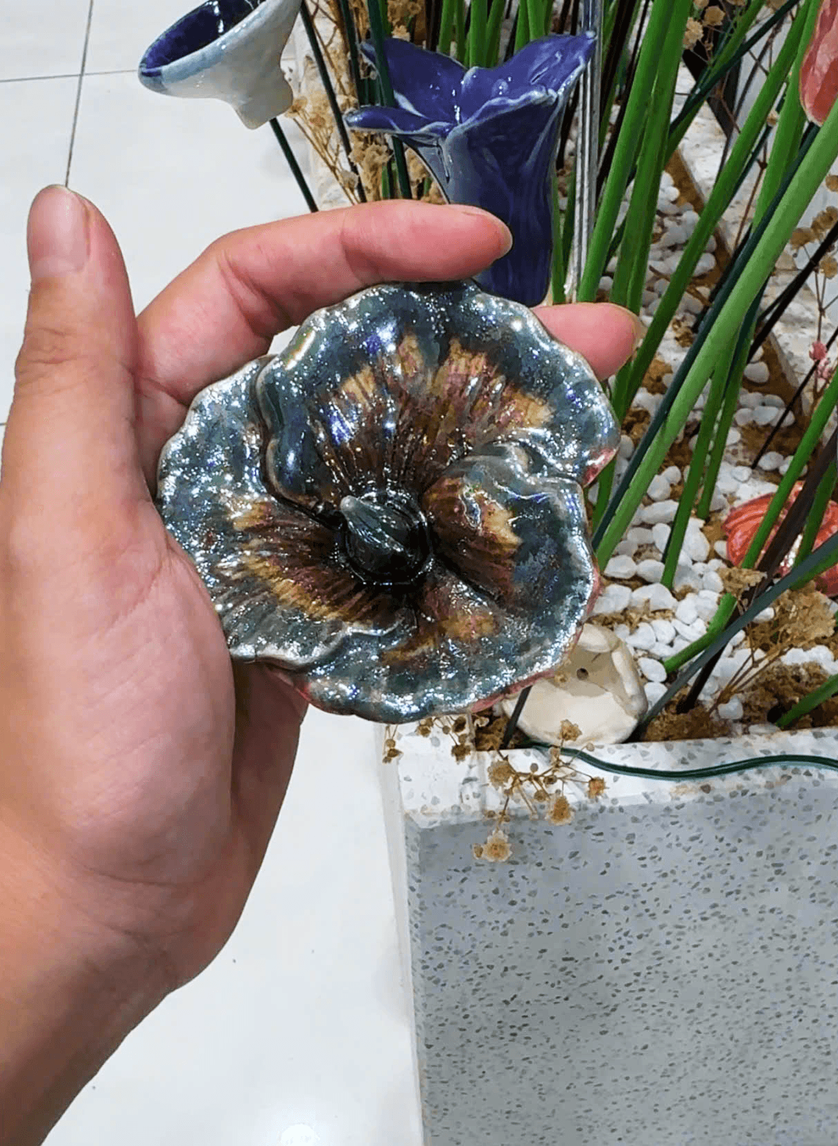 Hình ảnh bộ sưu tập