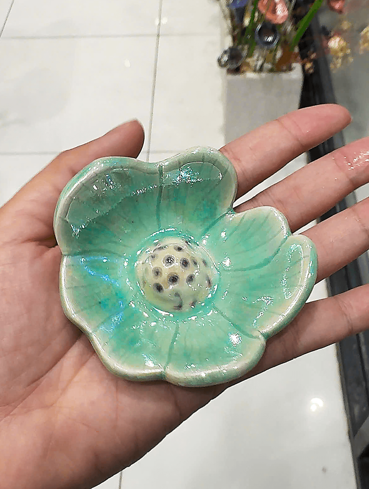 Hình ảnh bộ sưu tập
