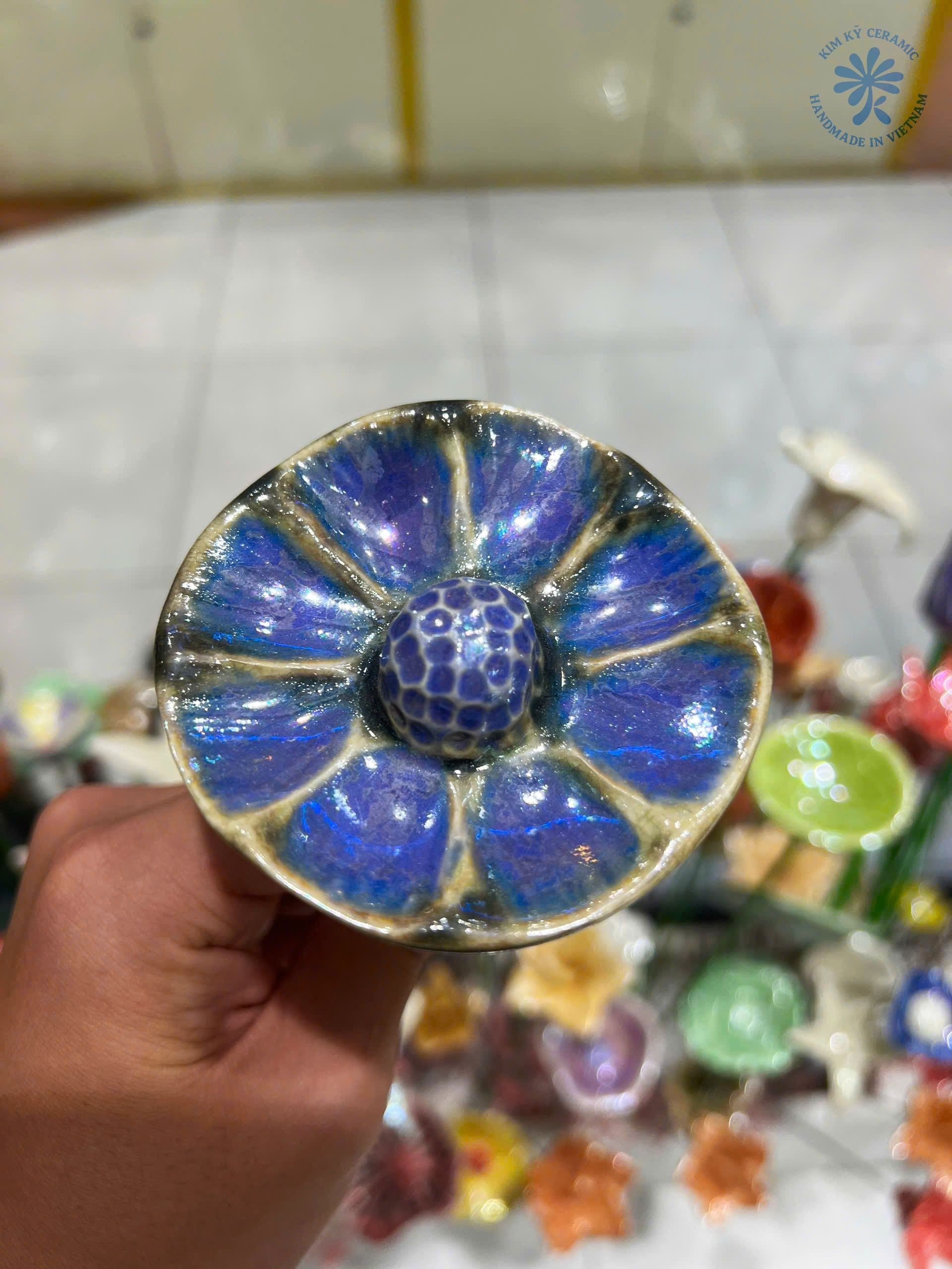 Hoa Hải Quỳ