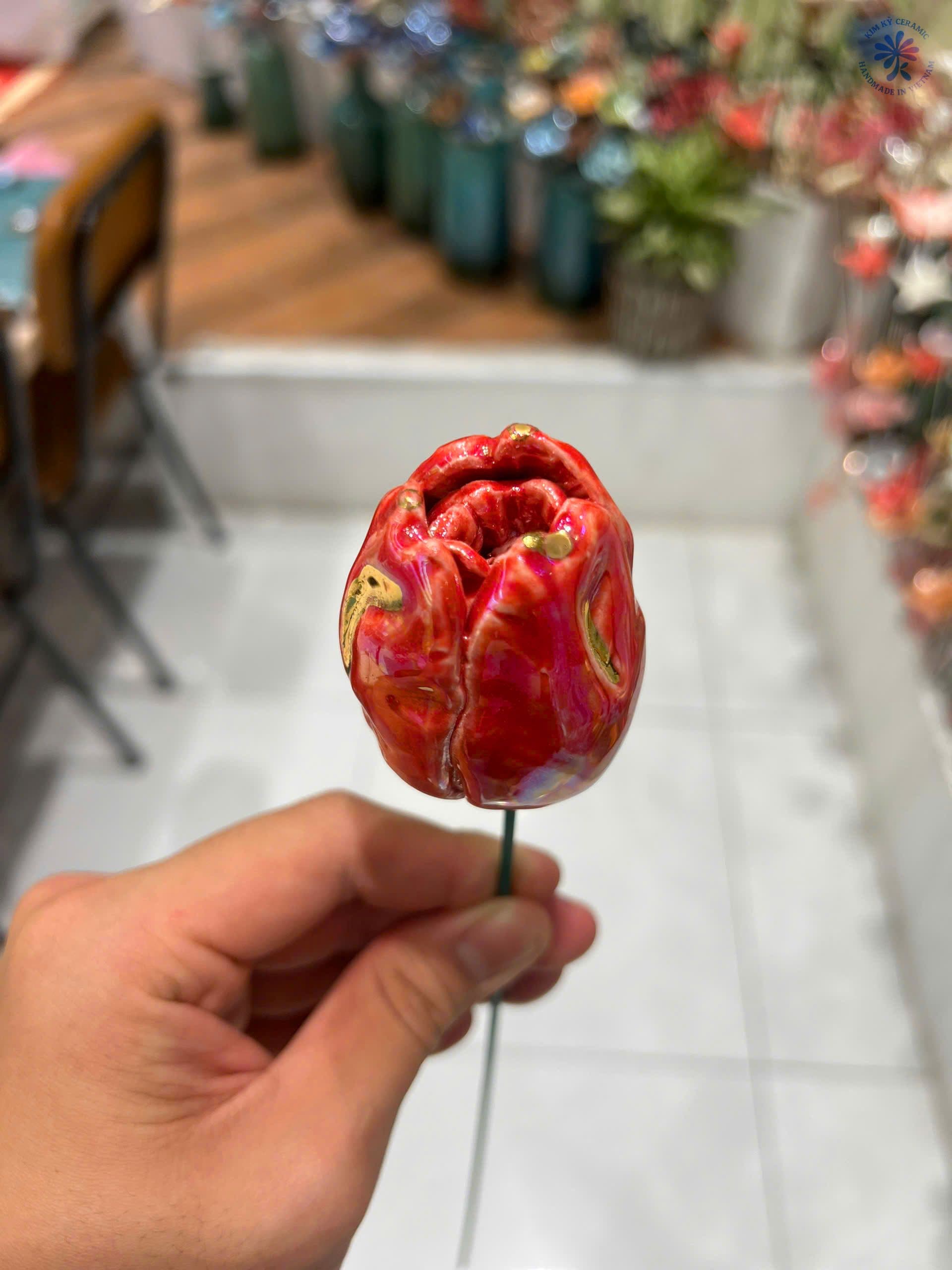 Búp Hoa Tulip - 1